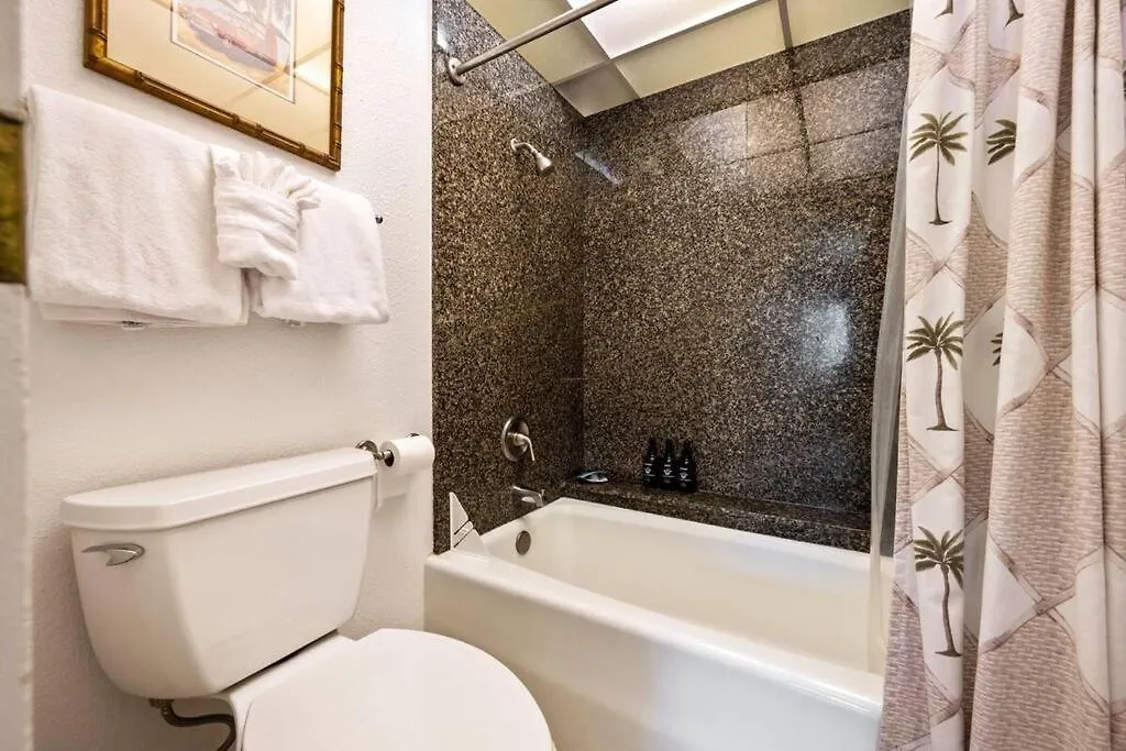 Apartment Kaanapali Shores 423- Ocean View 2 Bed, 2bath Kaanapali Shores Gem *