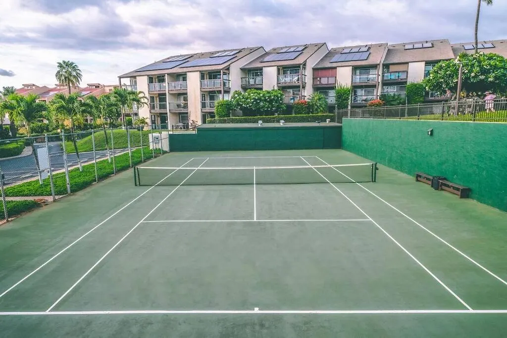 Hale Kamaole 2-113- Ground Floor Updated Kihei Gem, 300steps To Apartment *