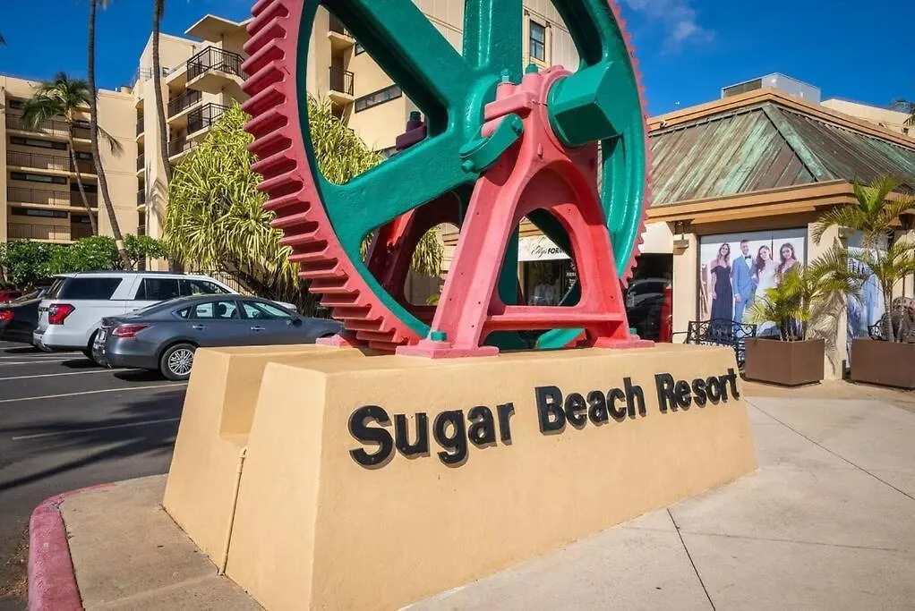 Sugar 518- Updated Oceanfront Gem At Sugar