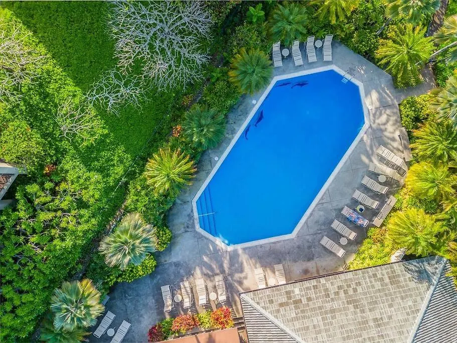 Kapalua Ridge 612- Ground Floor, Ocean View, Updated Kapalua Ridge Apartment *