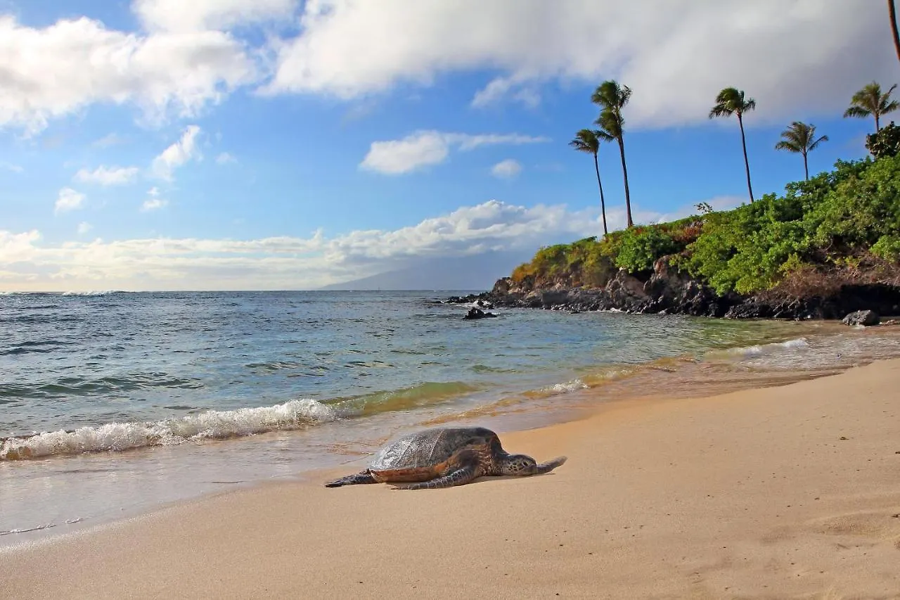 Kapalua Ridge 2614