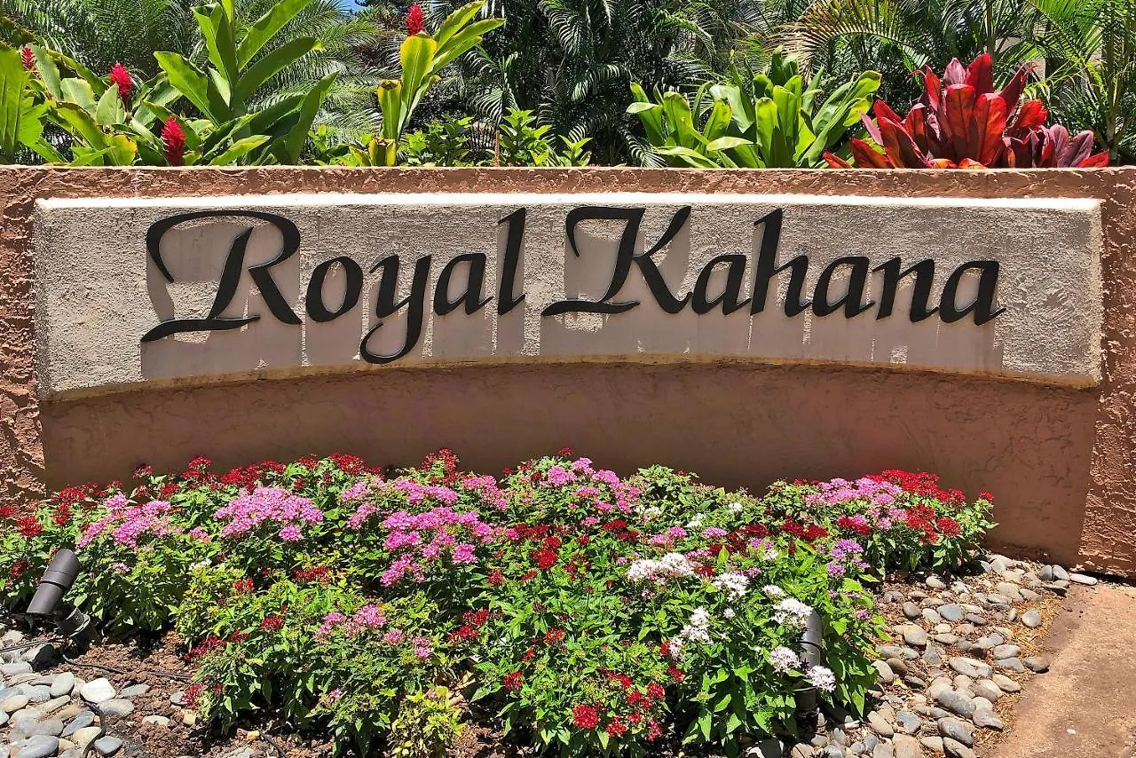 Apartment Royal 104