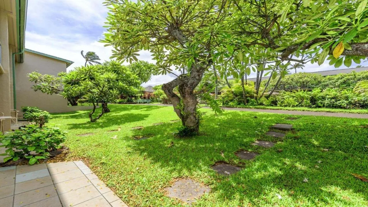 Napili Shores D127 Kahana