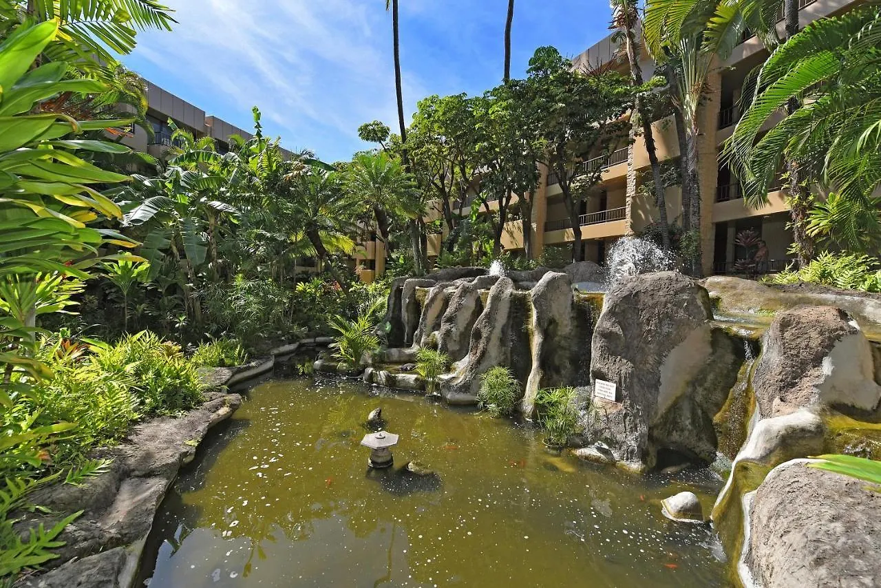 Paki Maui 207