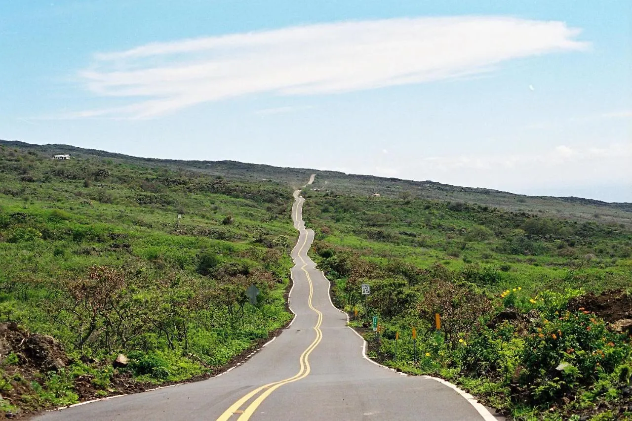 Napili Ridge A2 Kahana
