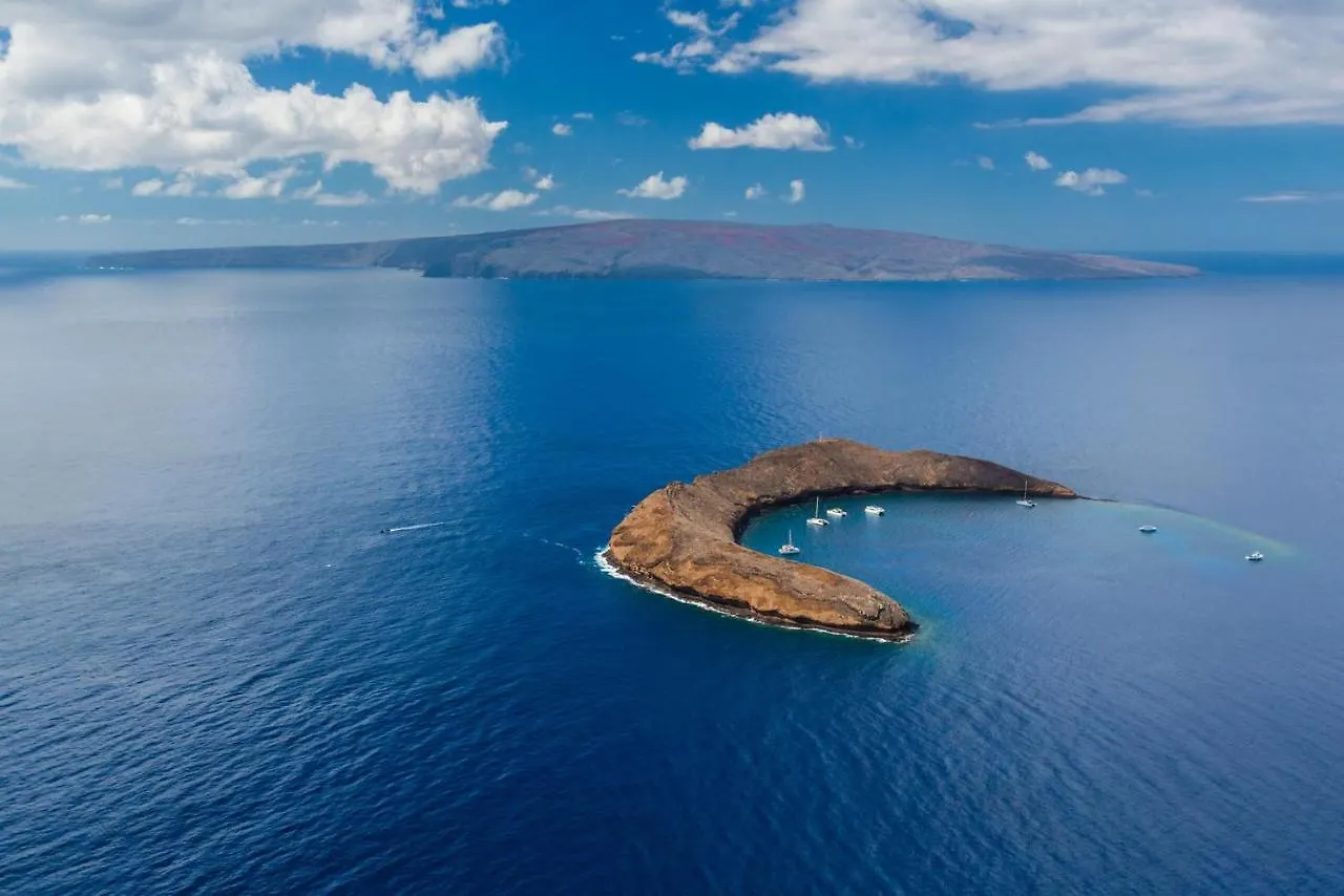Wailea Ekolu 504 Wailea (Maui)