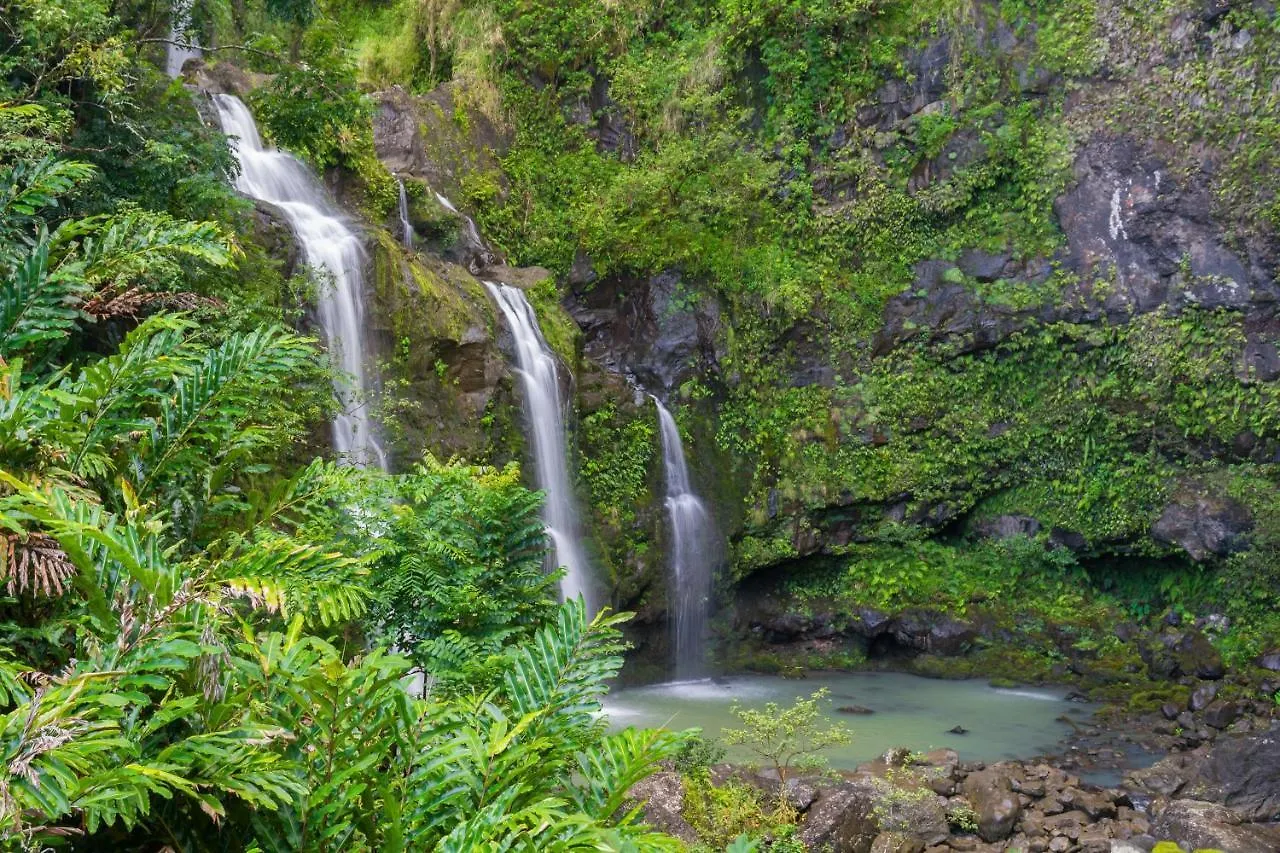 Napili Ridge A2 Holiday home Kahana
