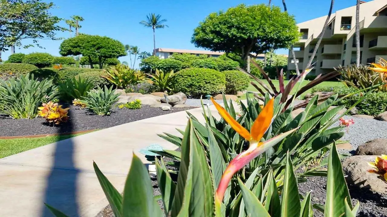 Holiday home Kamaole Sands 1101