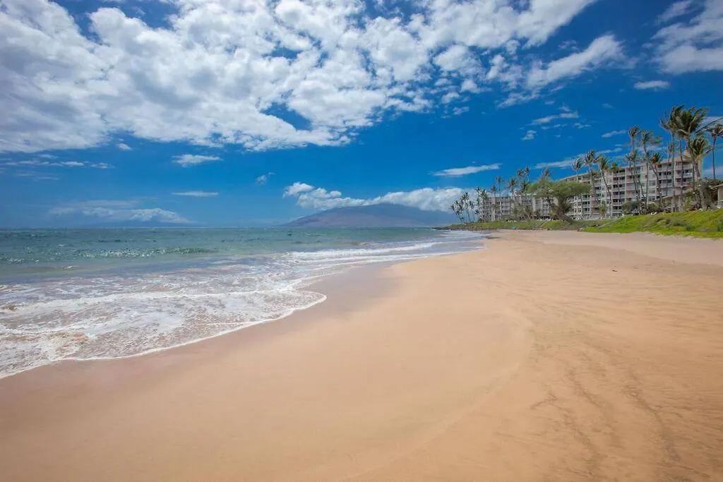 Kihei Akahi C610- Stunning Remodeled Oceanview In The Heart Of Kihei Apartment *