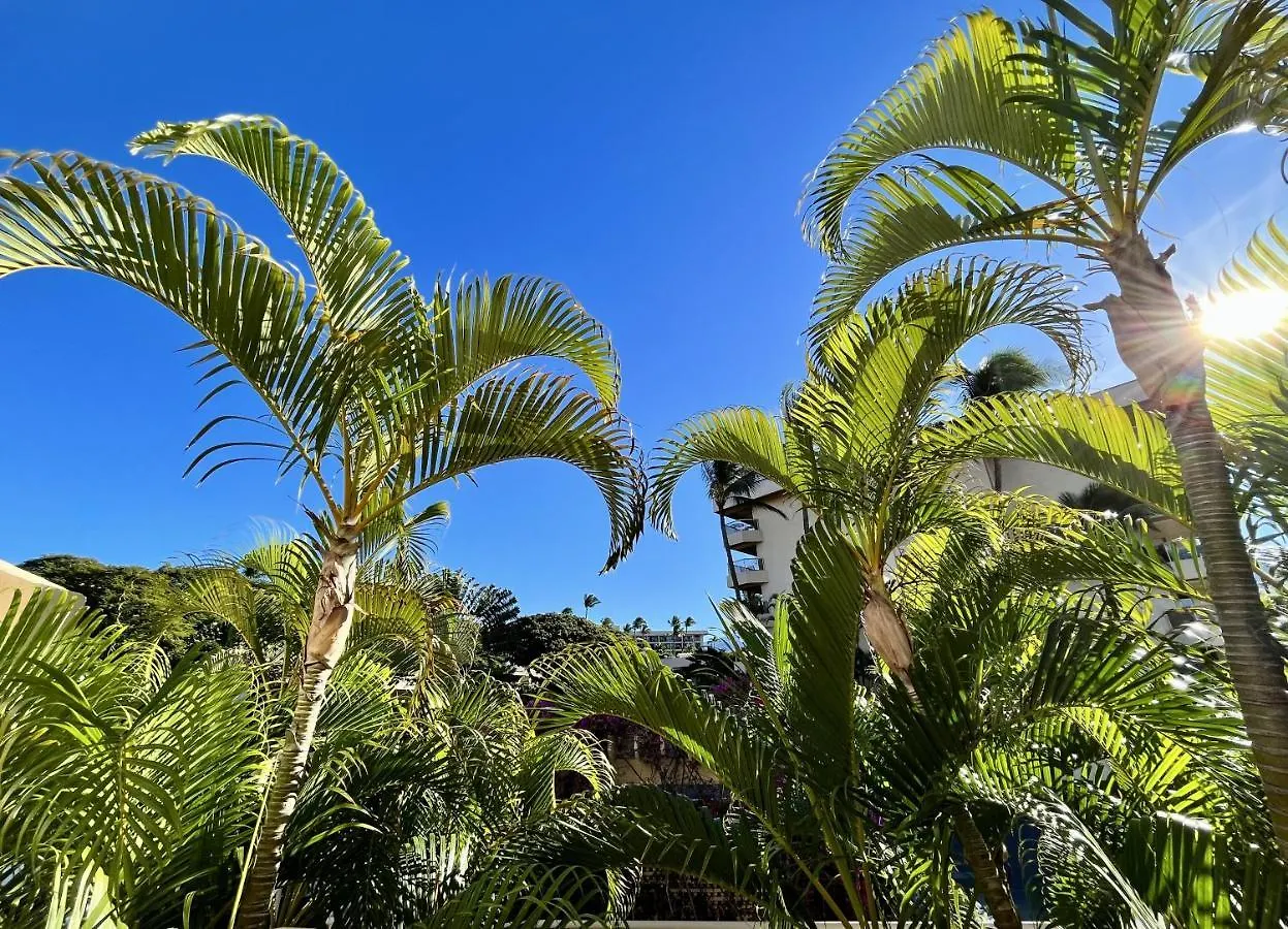 Maui Banyan B204 *