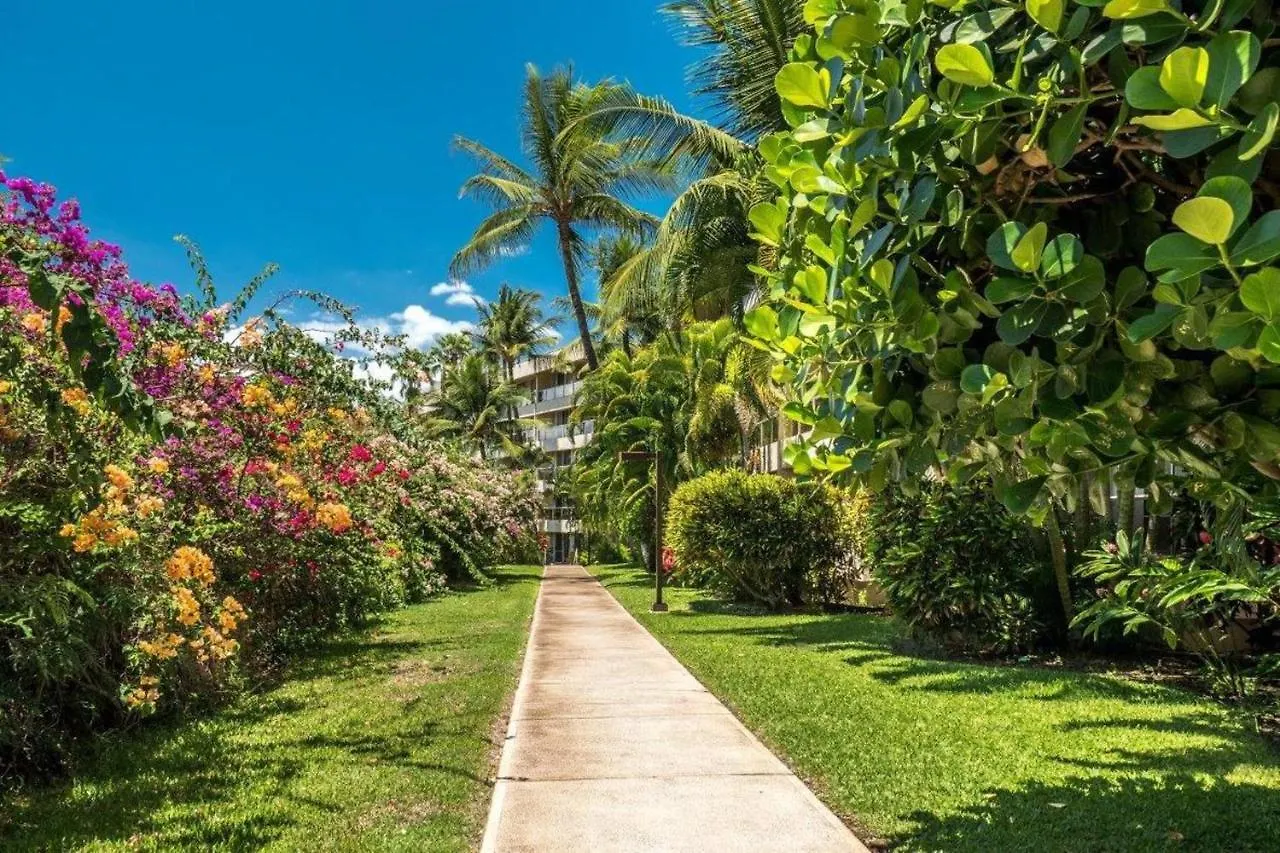 Maui Banyan B204 *