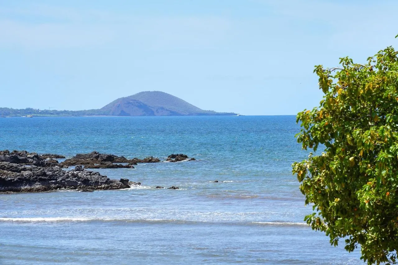 Park Shores 13 * Kihei