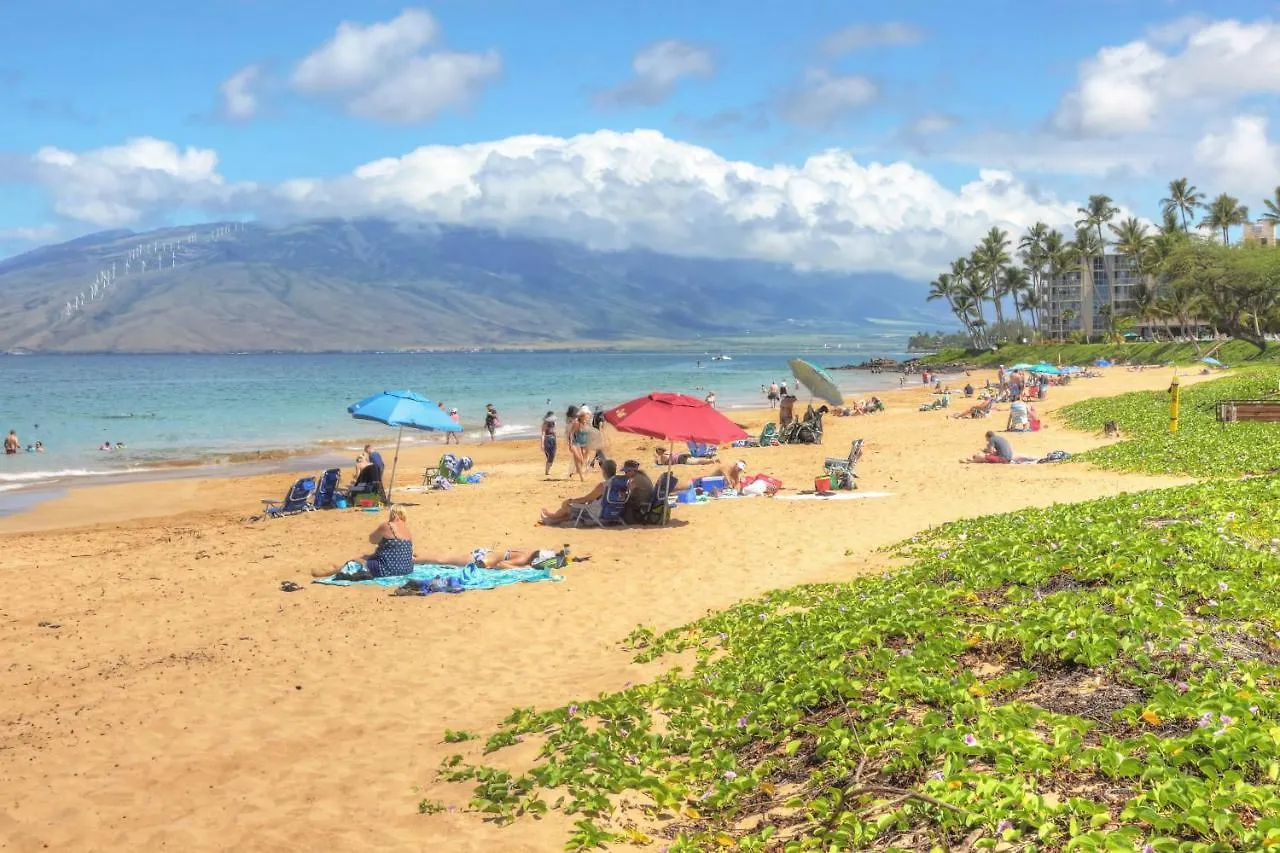Maui Banyan Q408a & Q408 * Wailea (Maui)