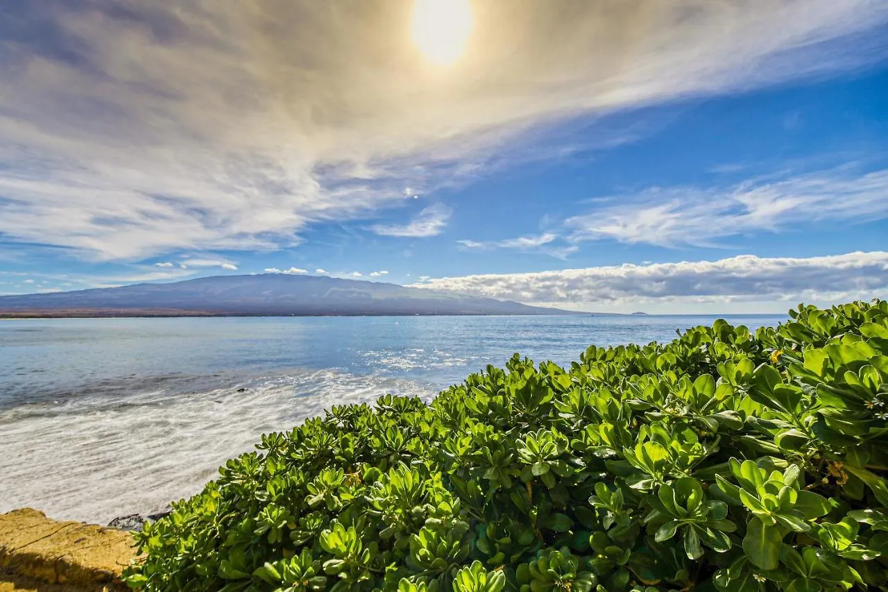 Island Sands 111 * Wailuku