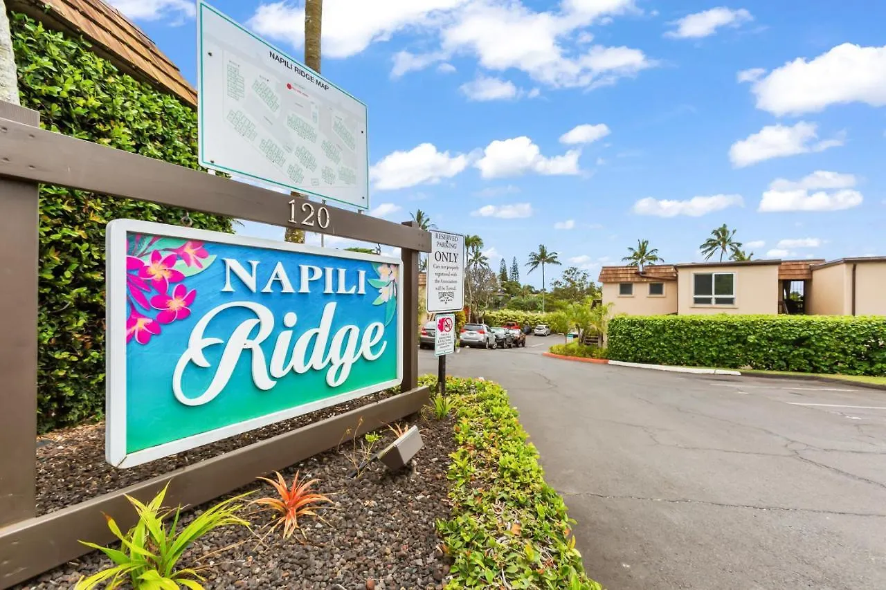 Apartment Napili Ridge C3
