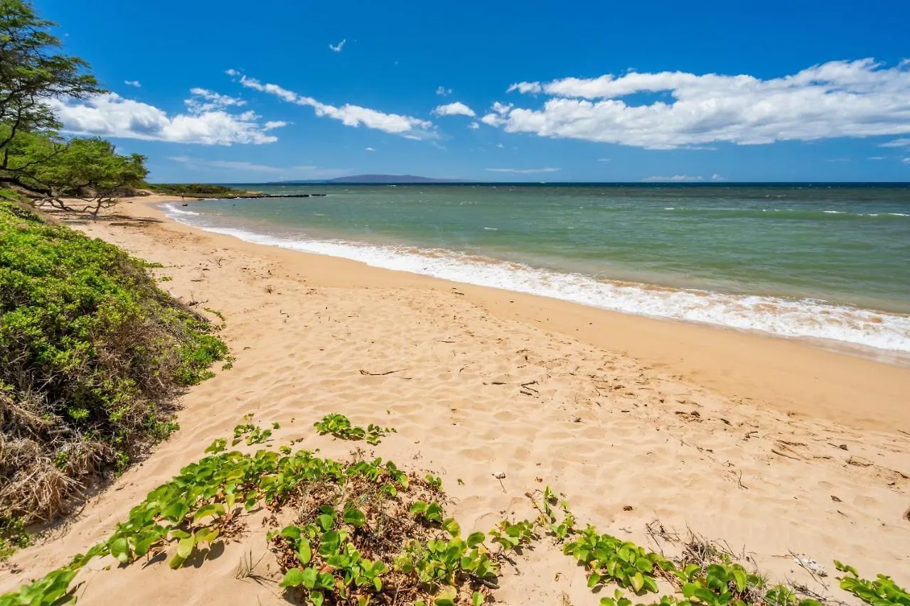 Wbh D225 Aloha Ola - Ocean And Pool View * Kihei