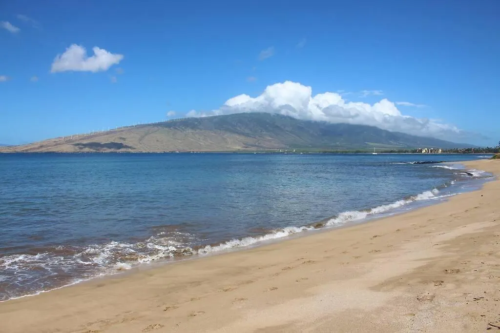 Apartment And Epic Location 2bd 2ba Ocean View *
