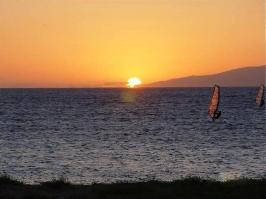 Apartment And Epic Location 2bd 2ba Ocean View
