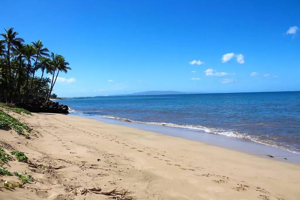 Apartment And Epic Location 2bd 2ba Ocean View *