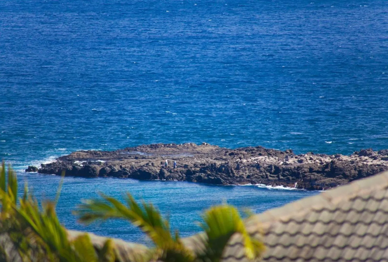 1512 Ridge * Kahana