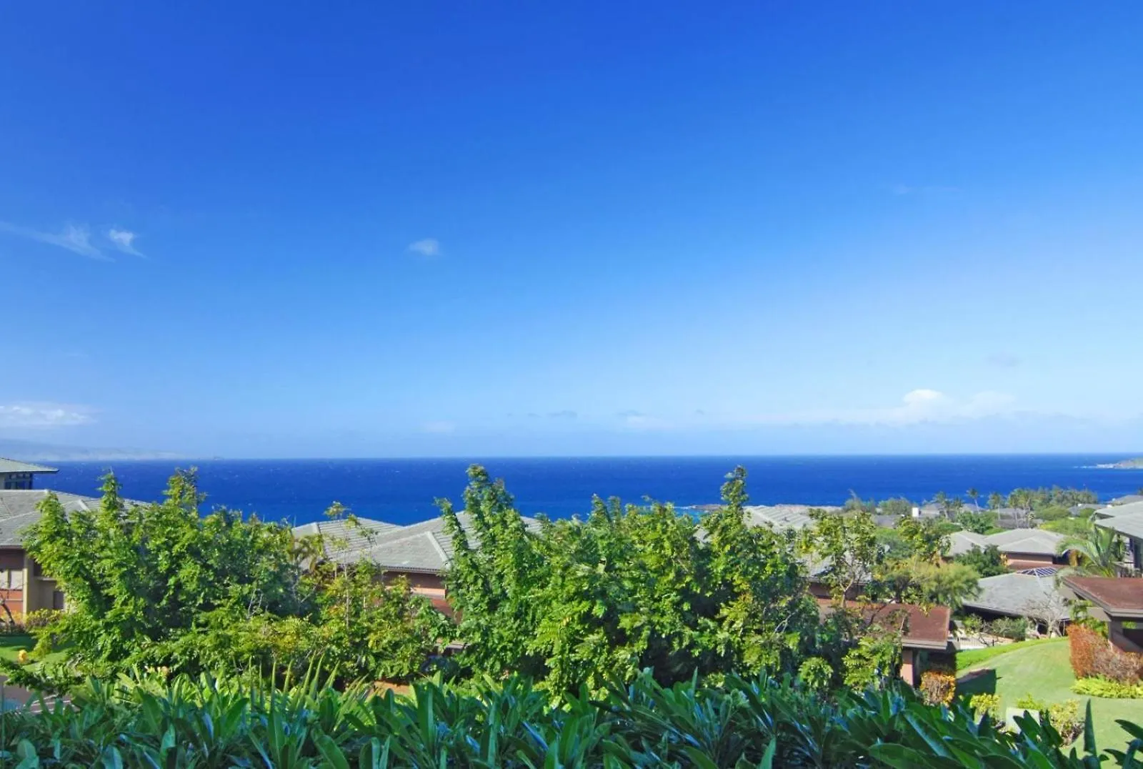 Apartment 1512 Ridge *