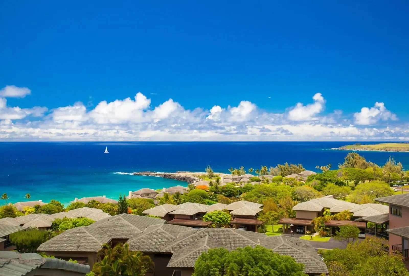 Apartment 1623 Ridge Kahana