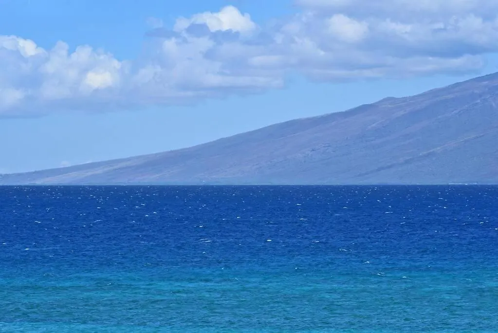 Oceanfront Kuleana Special!!! *