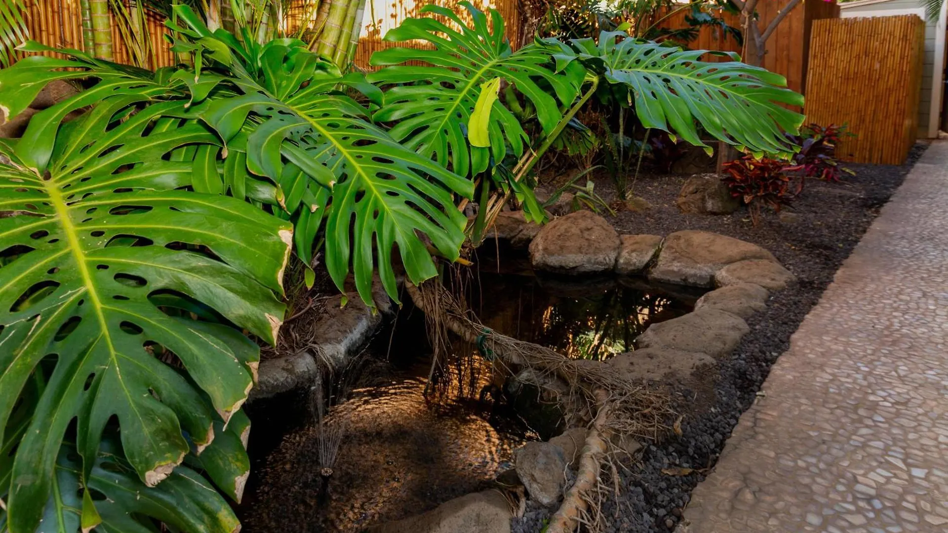 Lejlighed Orchid Suite, 1 Bedroom, Sleeps 4, Pool & Bbq, Pre-Renovation Summer Sale Kihei