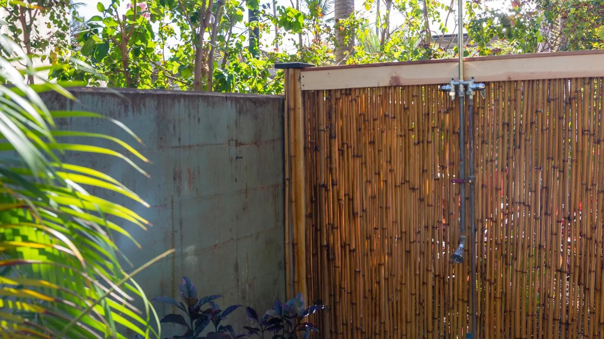 Orchid Suite, 1 Bedroom, Sleeps 4, Pool & Bbq, Pre-Renovation Summer Sale * Kihei