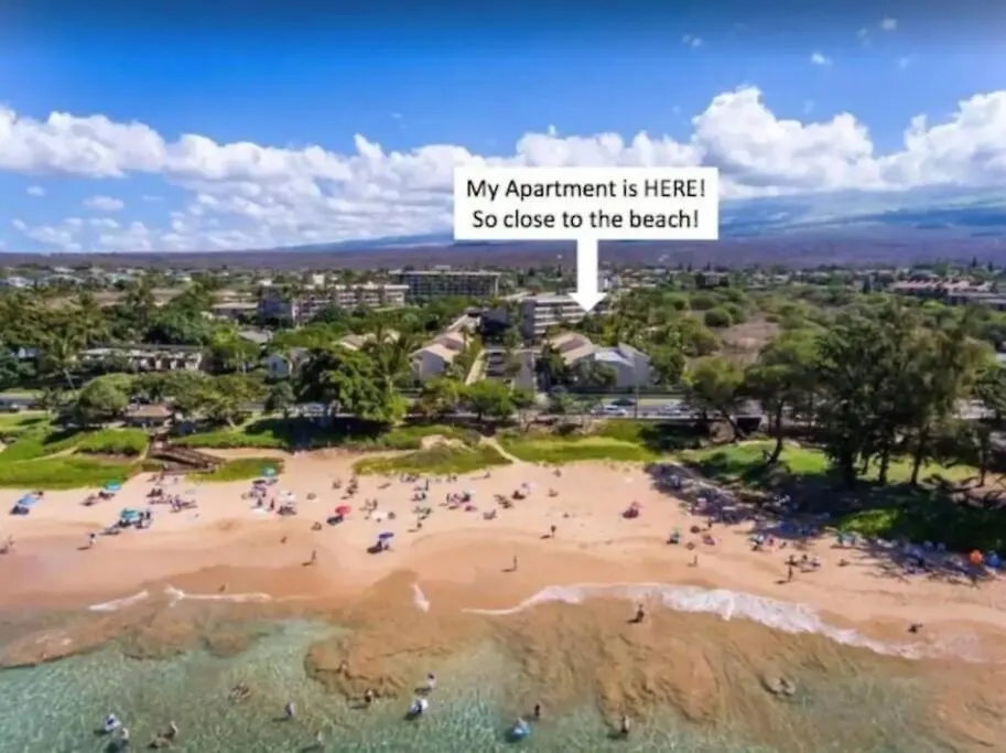 Beachside Retreat With High-speed Wi-fi And Pool Apartment *
