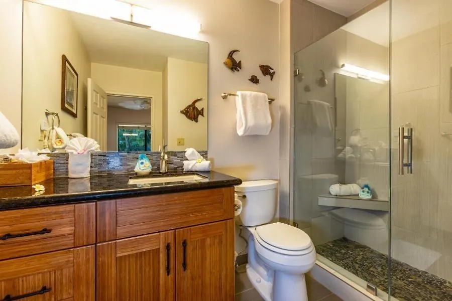 Apartment Makena Surf, #e-303