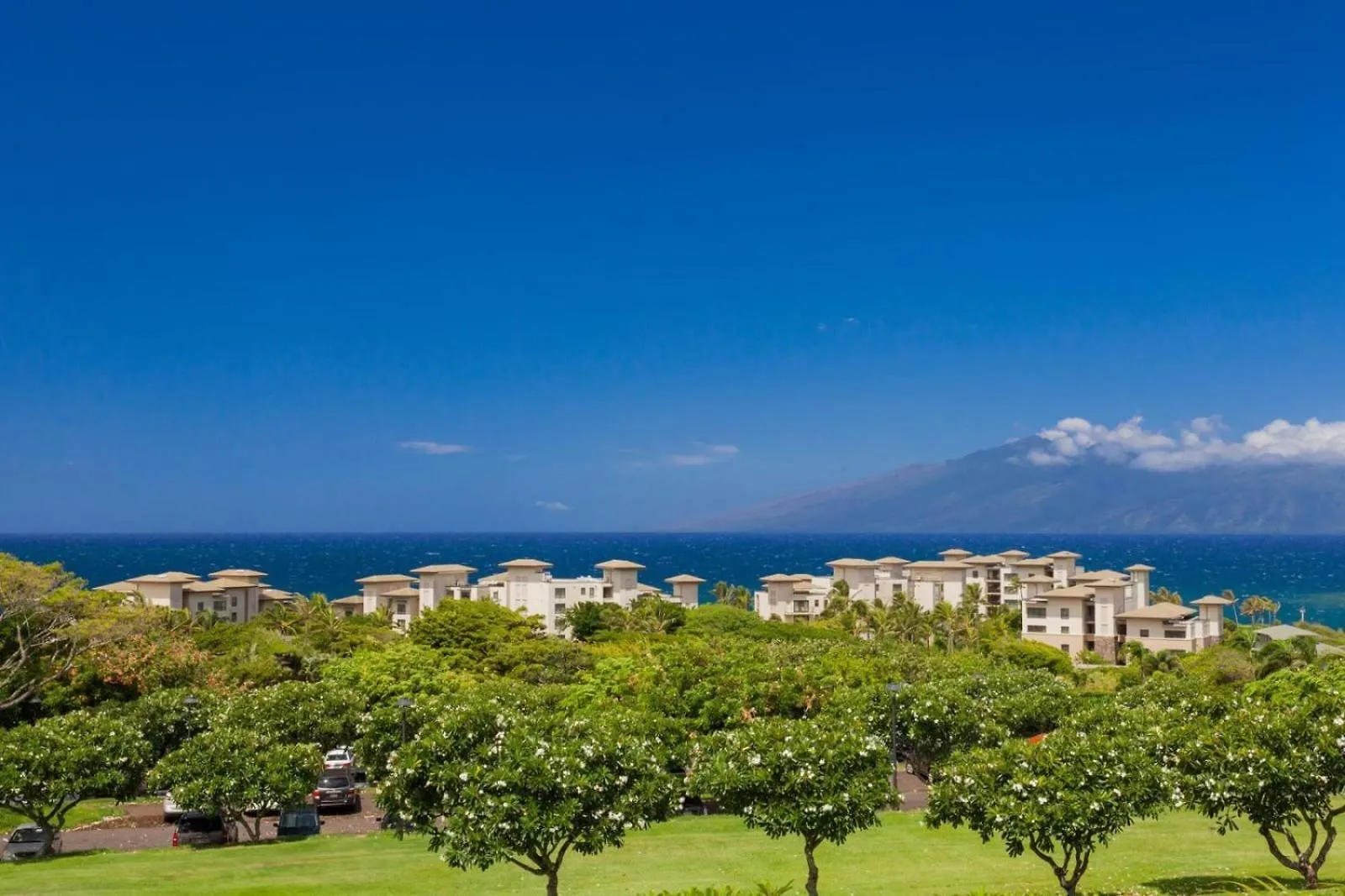 Apartment 2711 Ridge Kahana