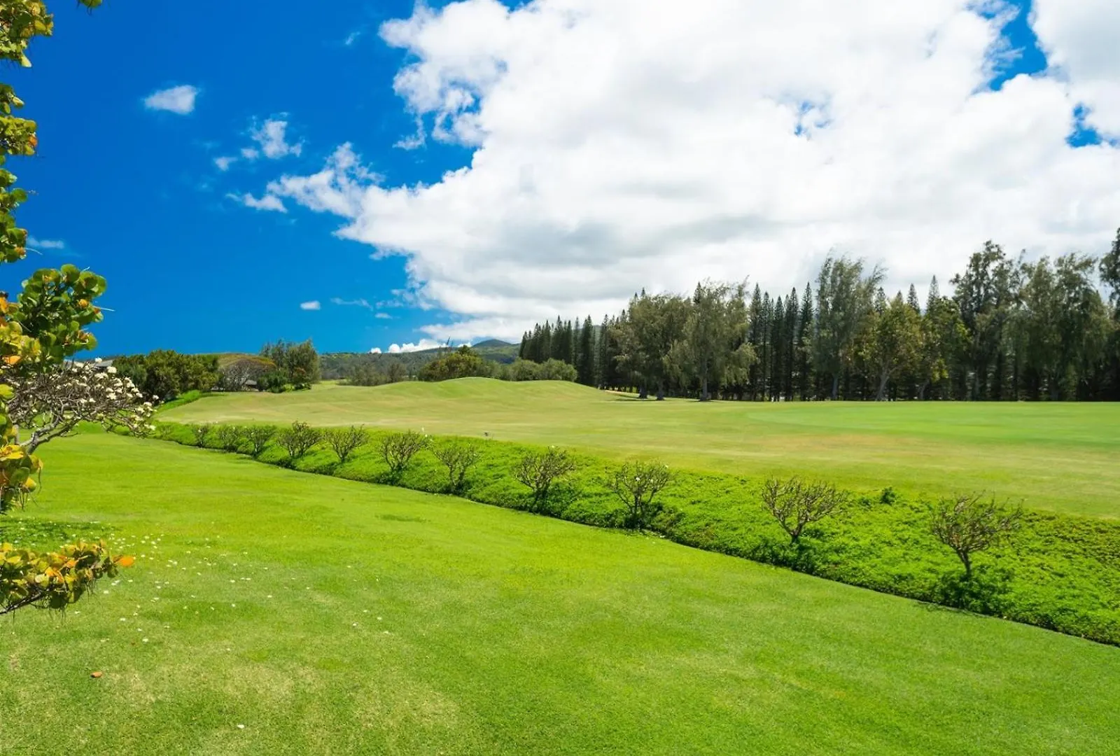 2511 Ridge * Kahana