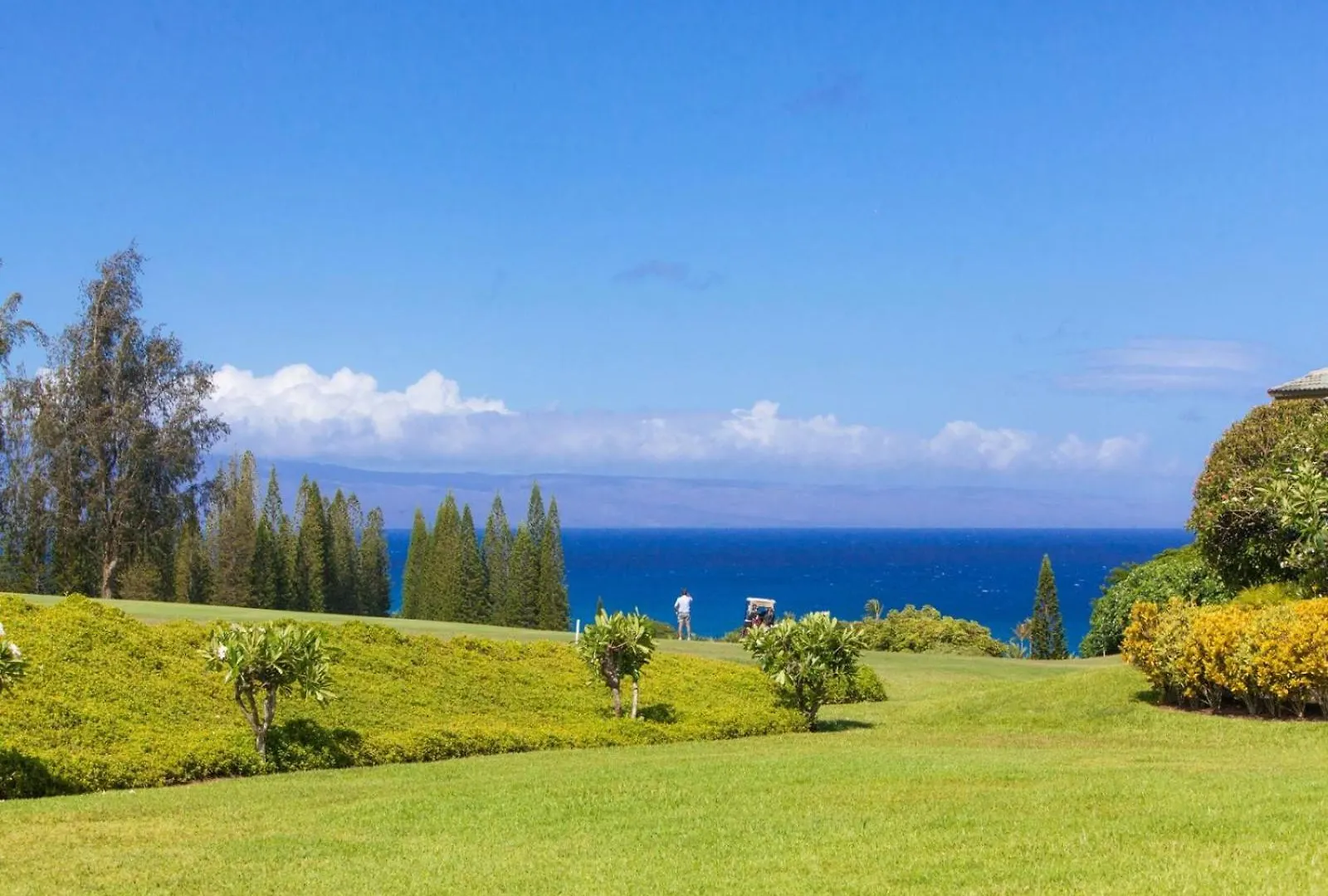 2511 Ridge Apartment Kahana