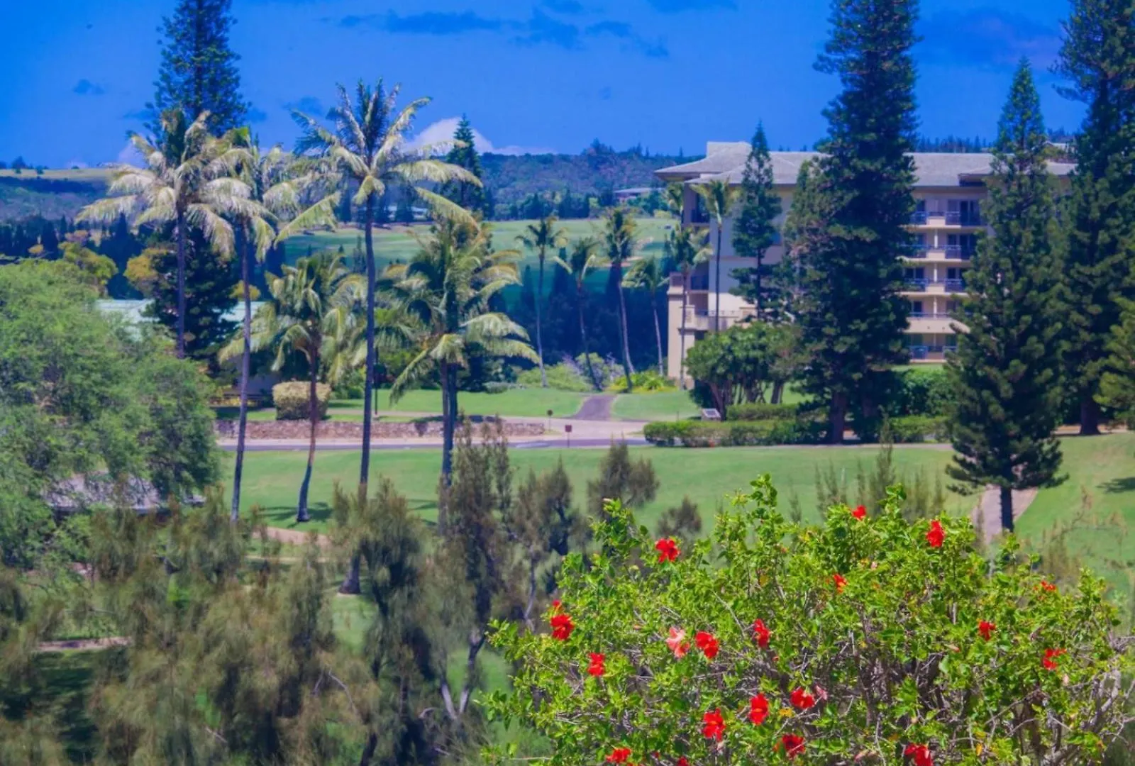 Holiday home 412 Ridge Kahana