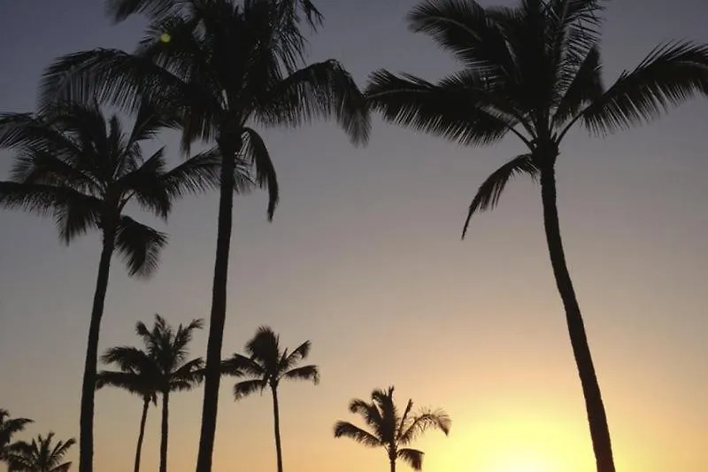 2021 Ridge * Kahana