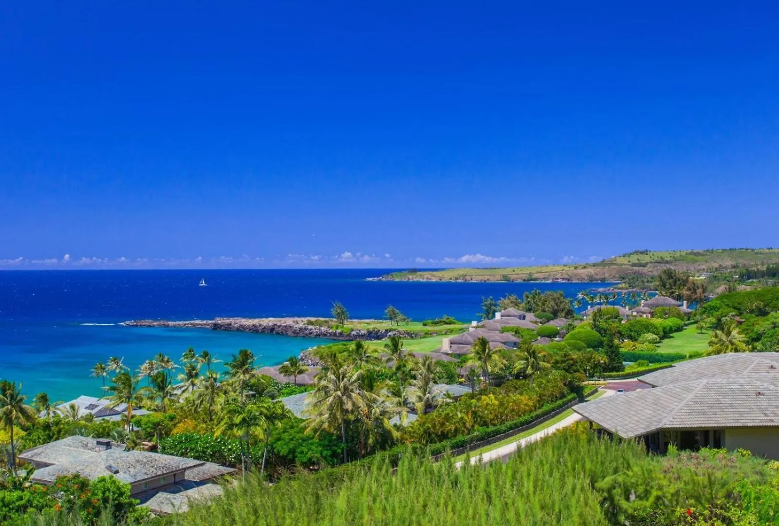 2021 Ridge * Kahana