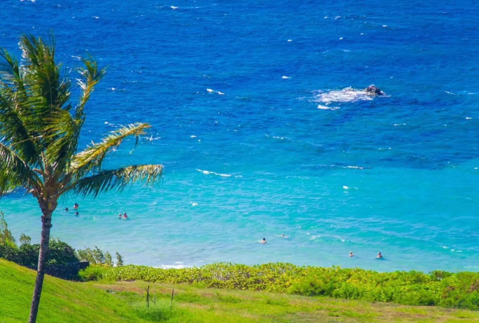Apartment 2021 Ridge Kahana