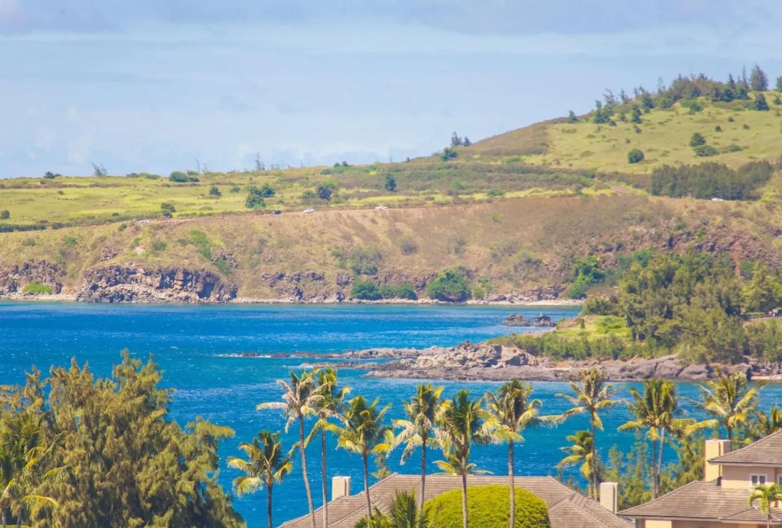 2021 Ridge Apartment Kahana