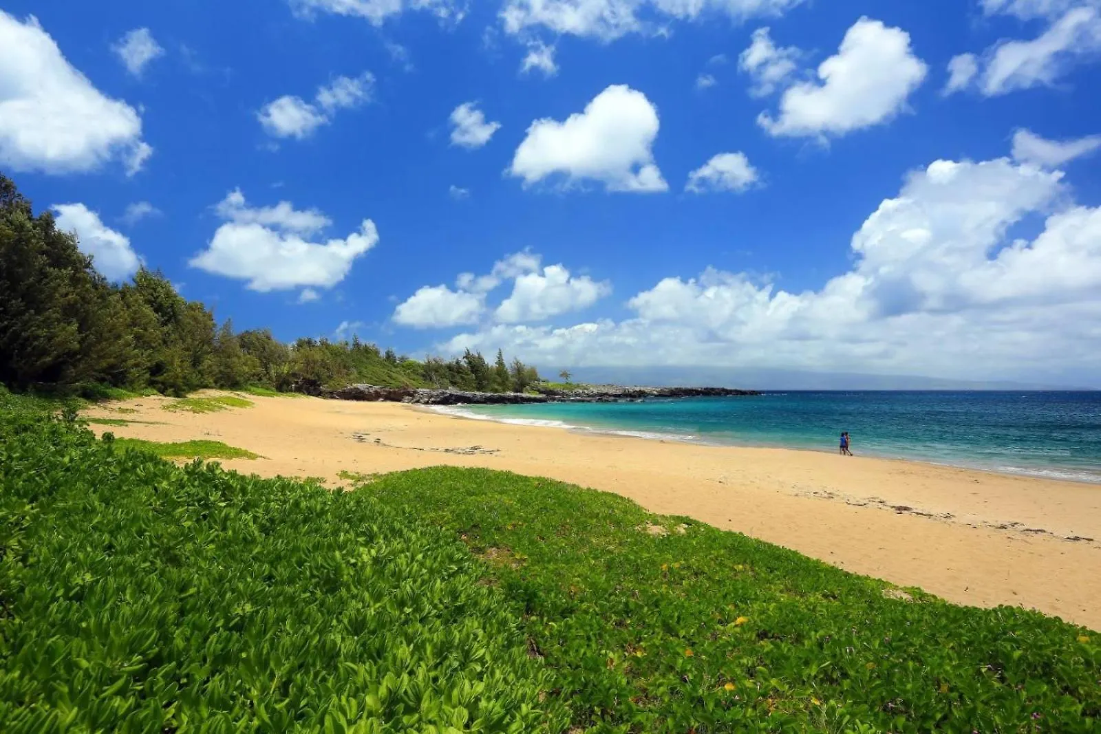 1915 Ridge Kahana