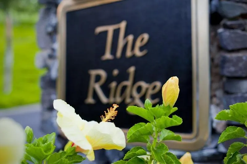 1623 Ridge Apartment *