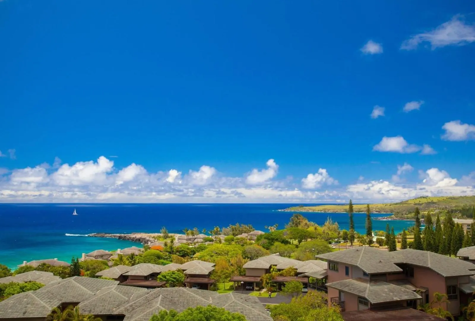 1623 Ridge * Kahana