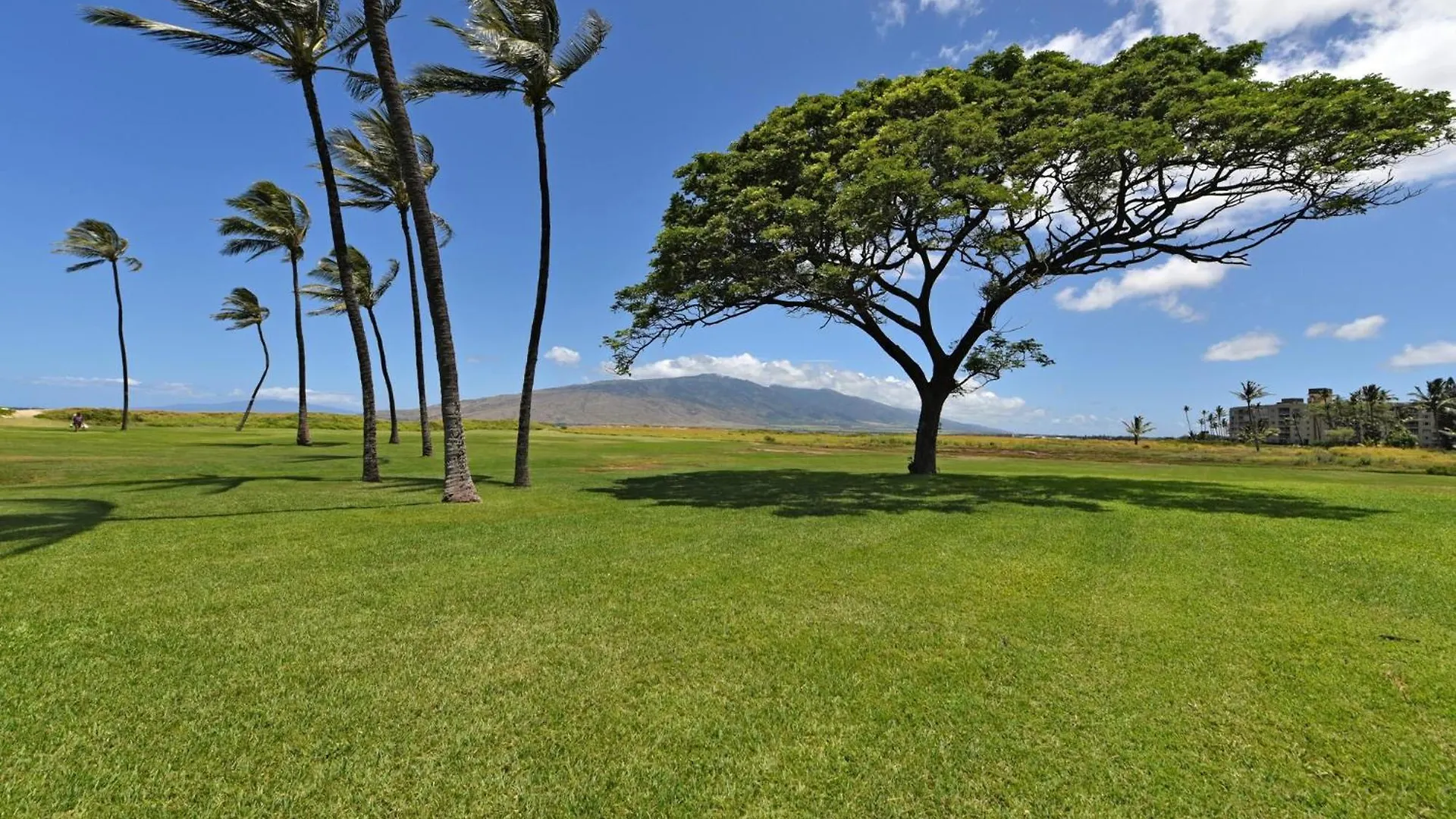 Kauhale Makai 131 * Kihei