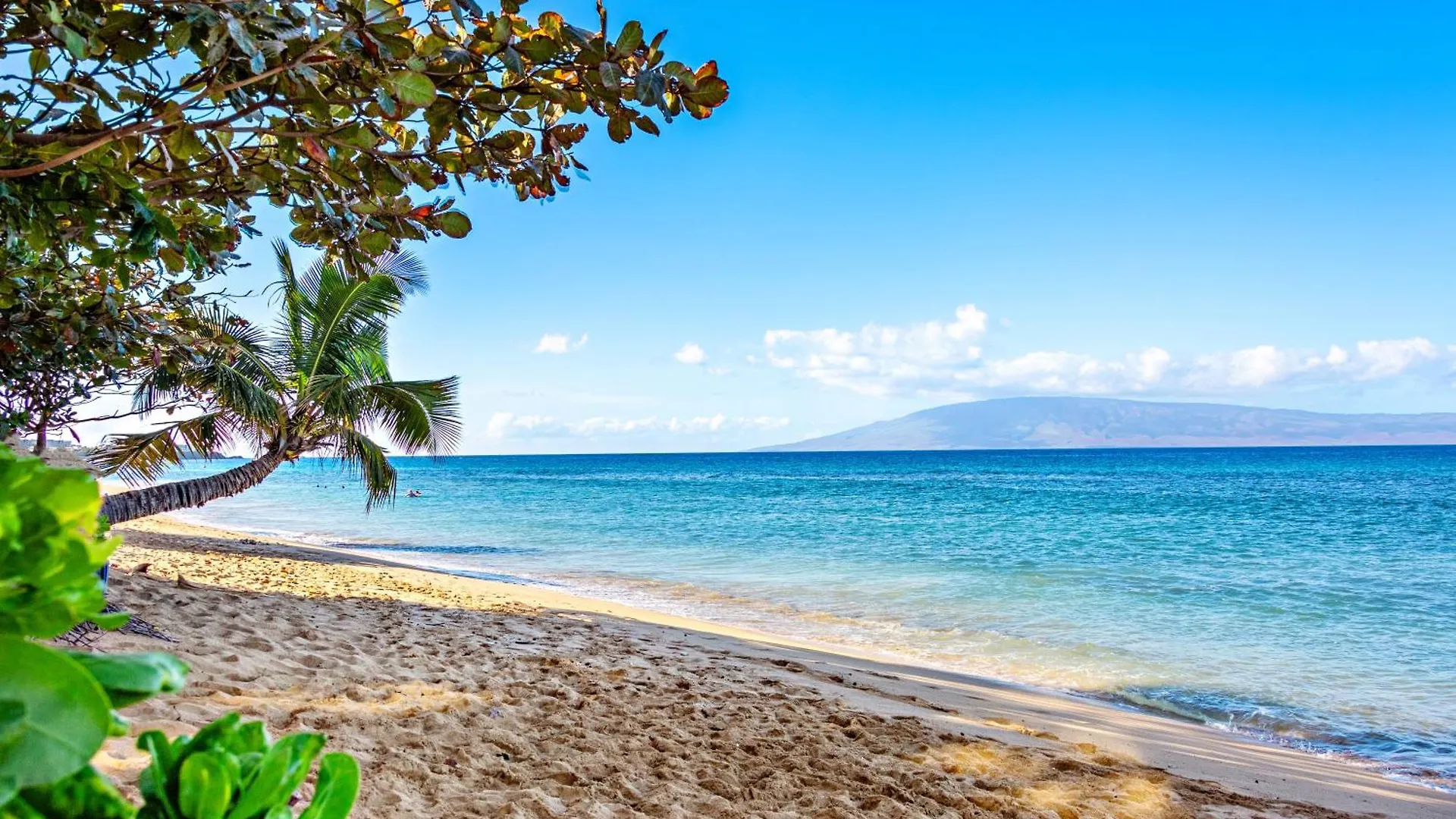 Mahana 804 Holiday home *