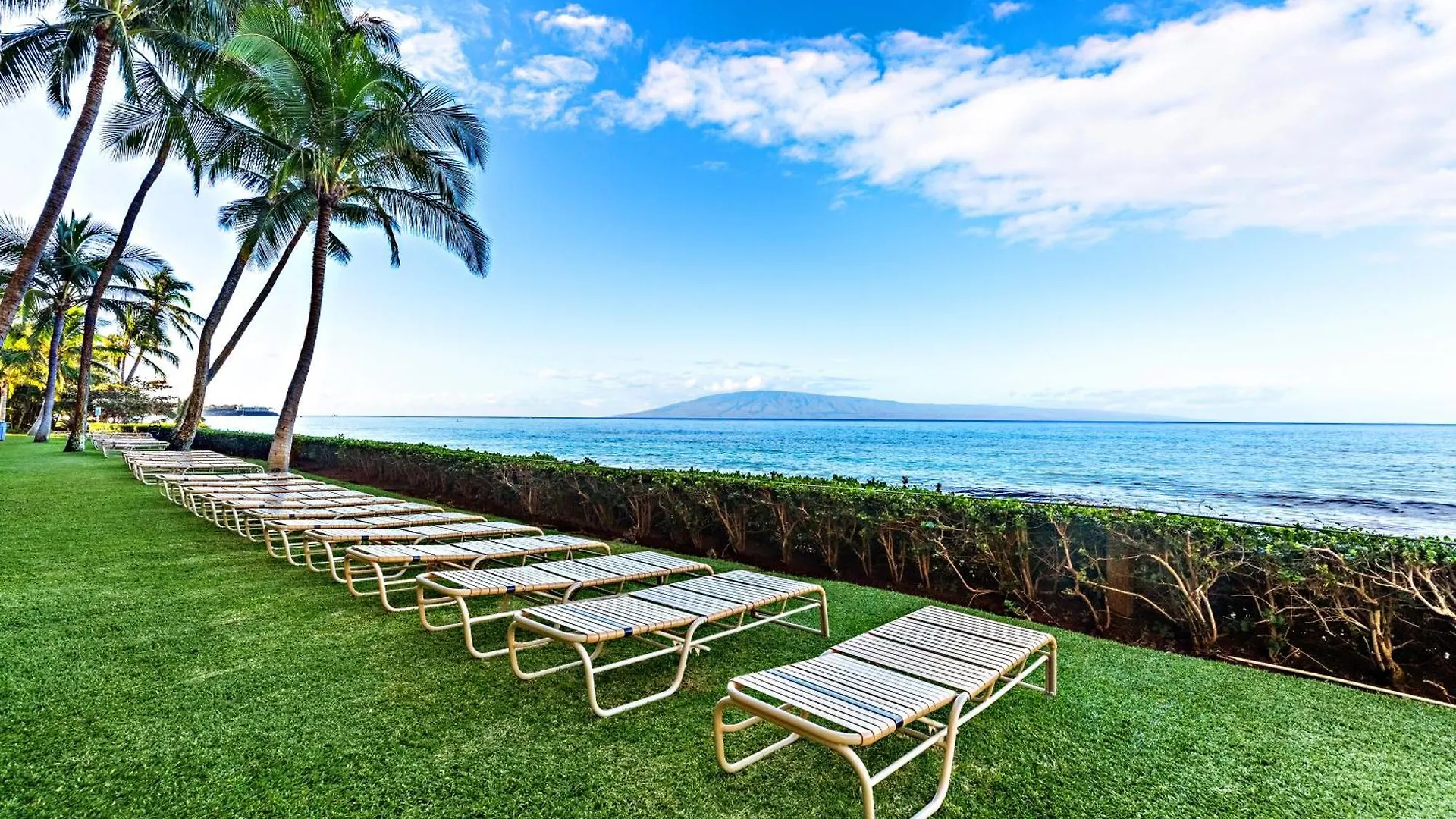 Mahana 804 Holiday home