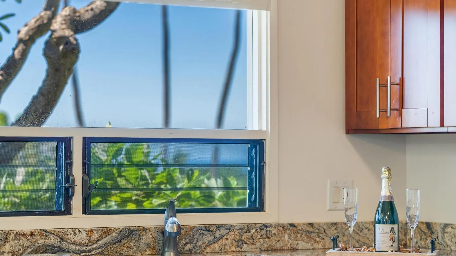 Wailea Ekolu 1509 Kihei