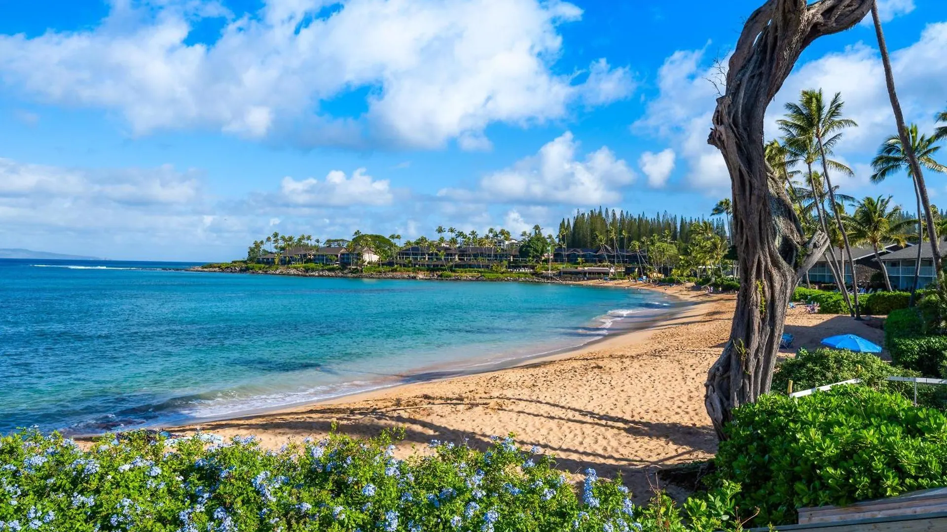 Casa vacanze Napili Surf 209