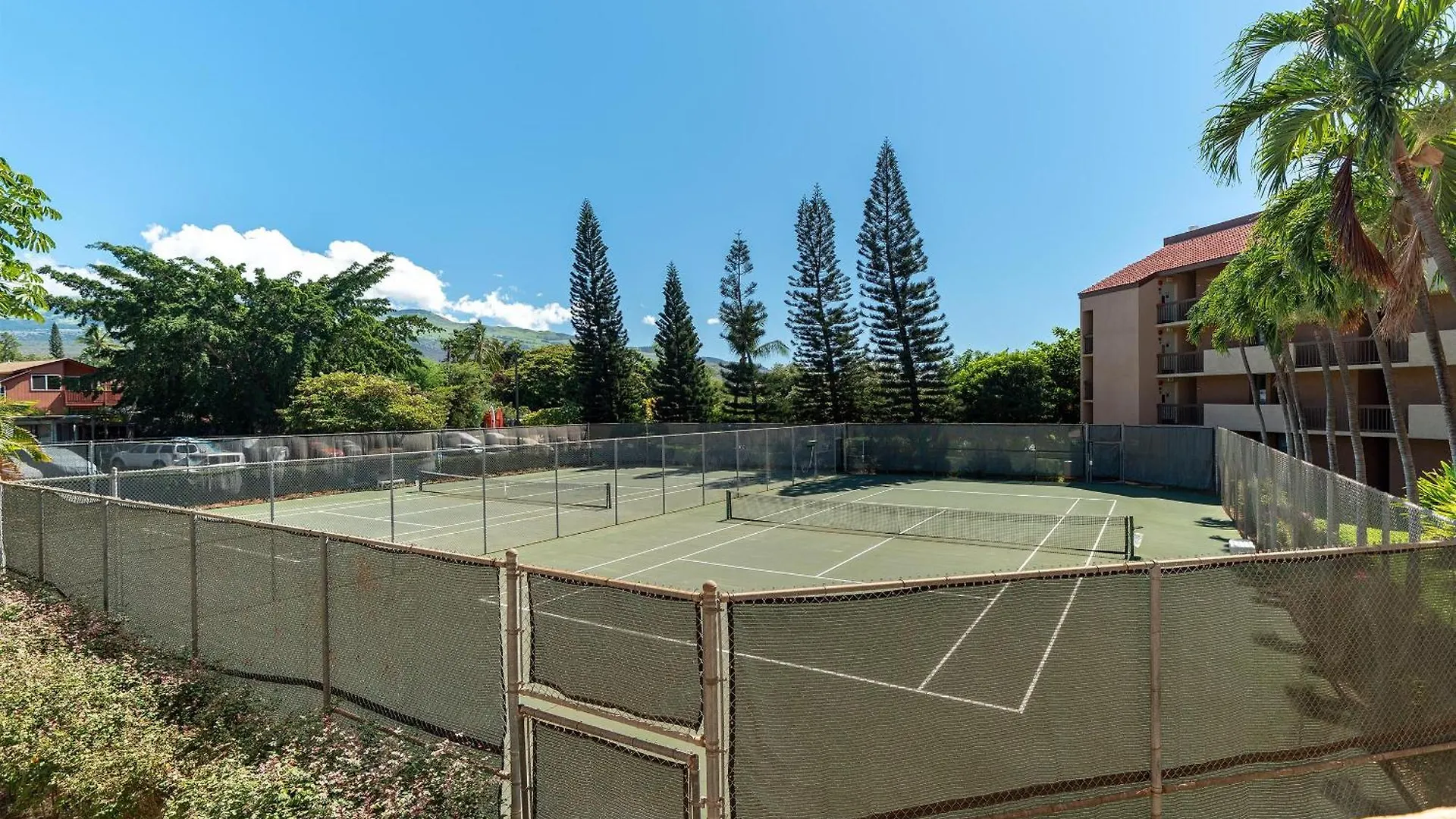Maui Vista 2-301 - Modern And Bright Renovation Holiday home *