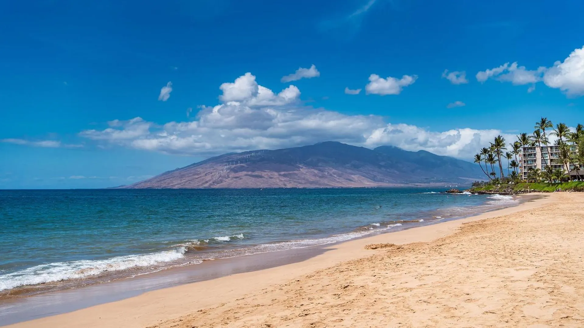 Holiday home Kihei Kai Nani 238 - Garden View 1 Bedroom, Split Ac, Steps To Kamaole Ii Beach!