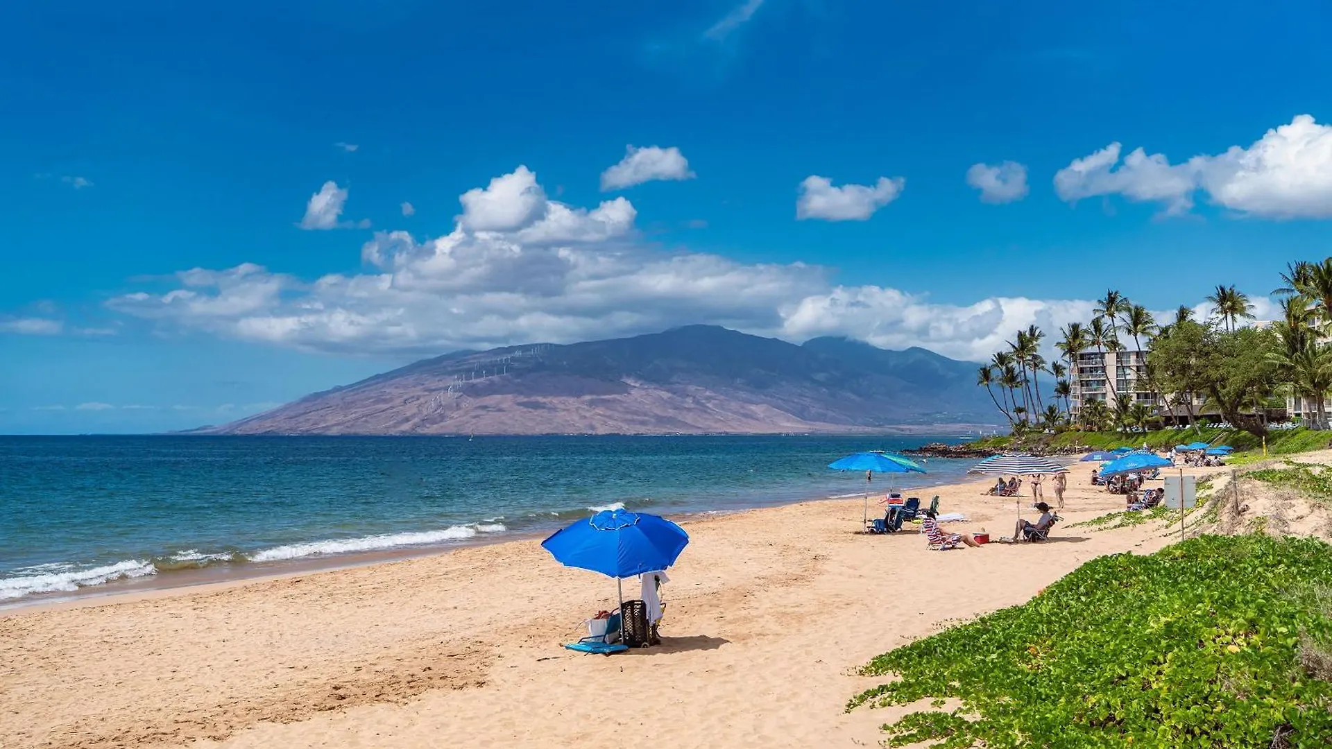 Kihei Kai Nani 238 - Garden View 1 Bedroom, Split Ac, Steps To Kamaole Ii Beach! Holiday home Wailea (Maui)